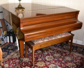 Danemann Pianos-Pianos for Sale